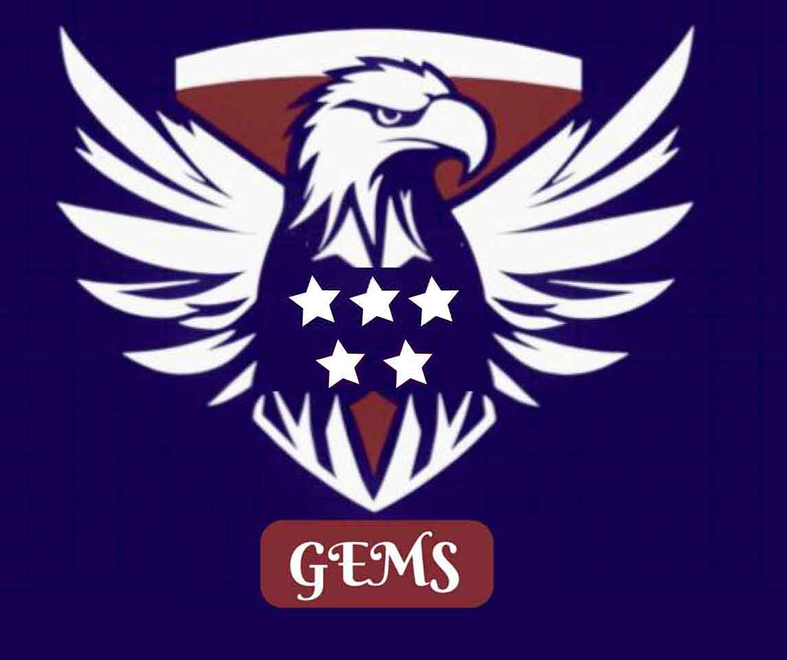 
Global Enrollment Management Solutions 